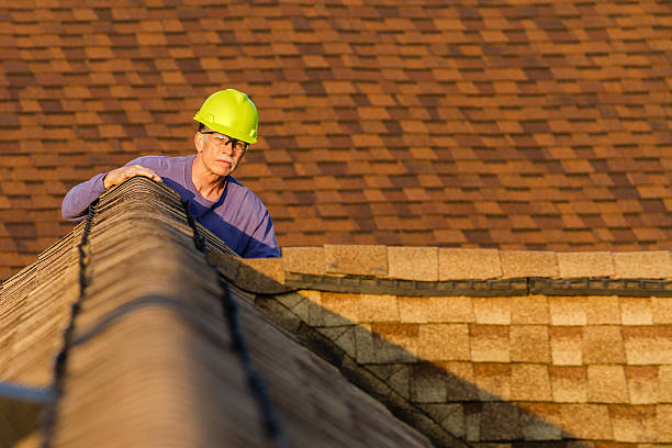 Best Residential Roofing Contractor  in Vermillion, SD