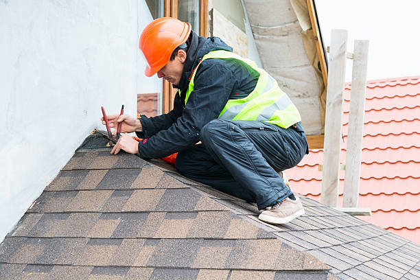 Best Roof Maintenance Services  in Vermillion, SD